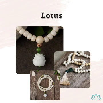 LOTUS